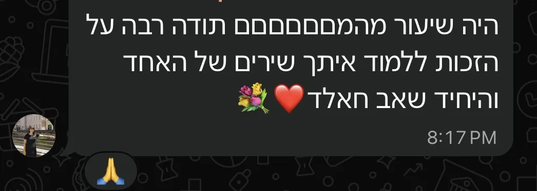 המלצה 1