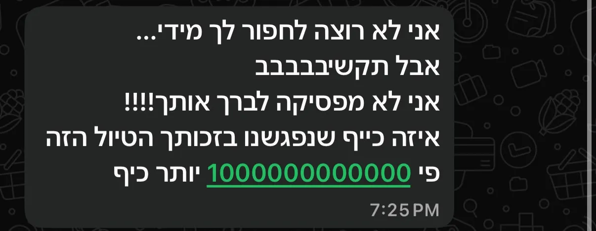 המלצה 11