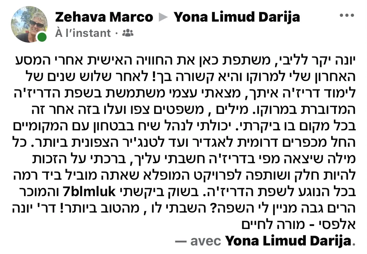 המלצה 12
